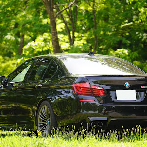 M5 FV44M