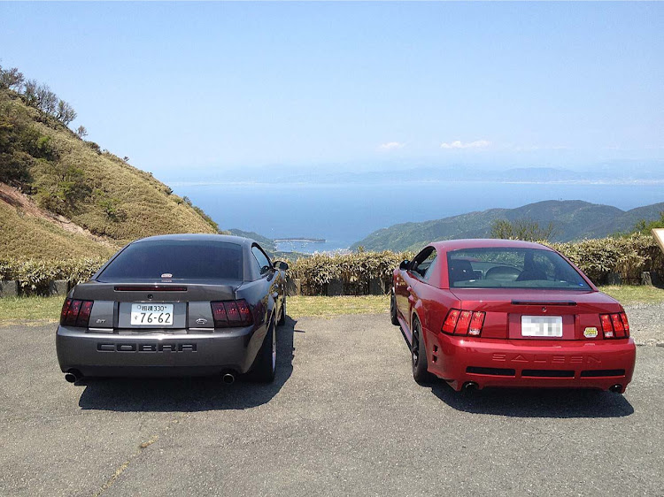 マスタングSVTコブラのSVT cobra・mustang・伊豆に関するカスタム事例の投稿画像7枚目