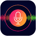 Audio recording with voice mem