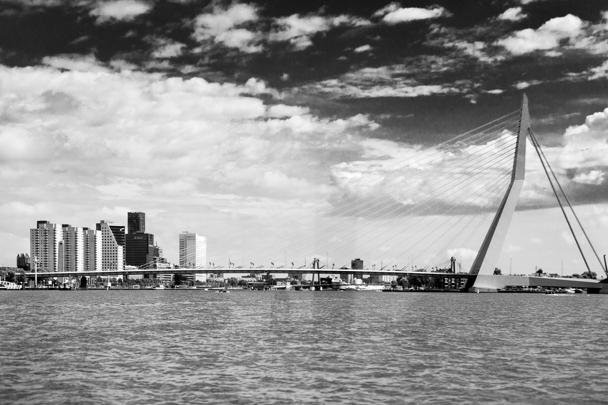 Erasmusbrug - Ponte di Rotterdam di Steven_Hope