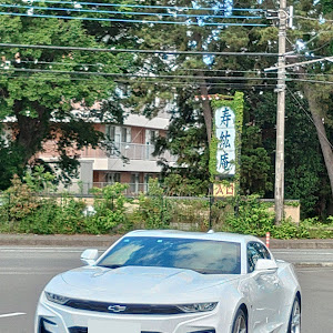 カマロ クーペ LT RS