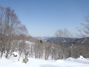 中央に猪臥山