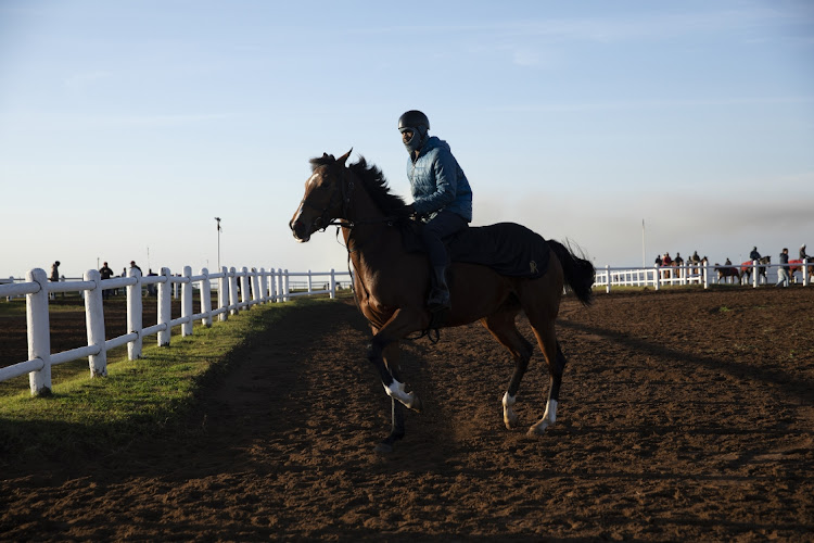 A trainers helper ride a horse during a morning training at Summerveld Horse Training Centre in KwaZulu-Natal.