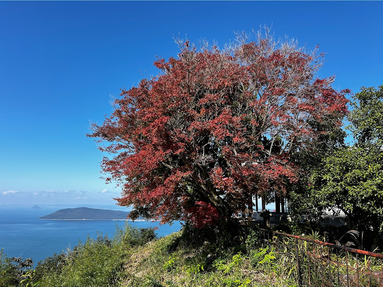 レガシィツーリングワゴンの夕日と愛車・夕日とコラボ・屋島・紅葉・11月もよろしくお願いしますに関するカスタム事例の投稿画像4枚目