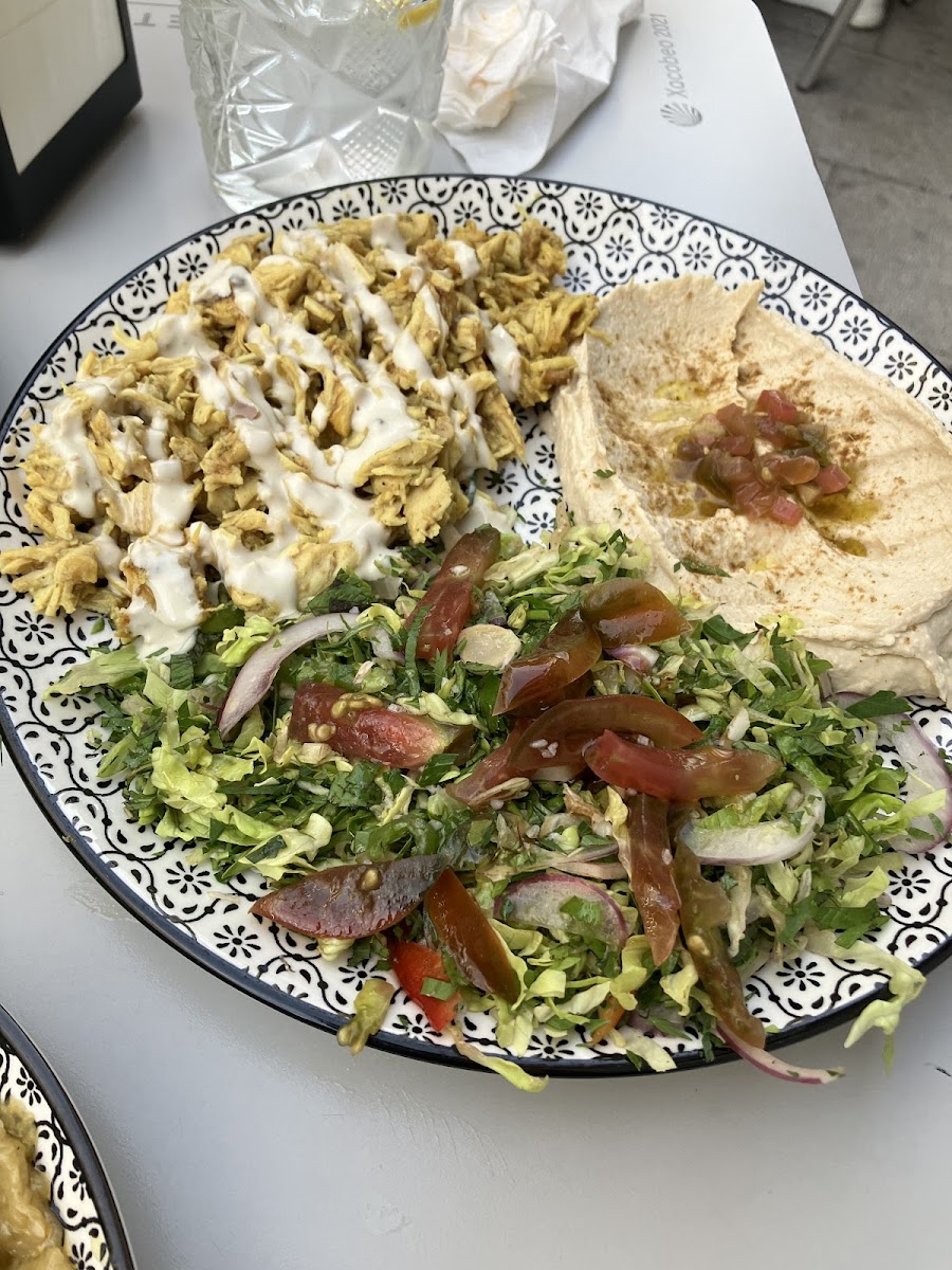 Chicken salad with green salad and humas