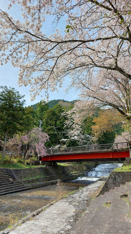 の投稿画像7枚目