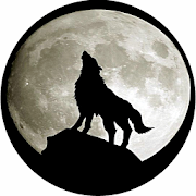 Gray Wolf Wallpapers 1.0 Icon