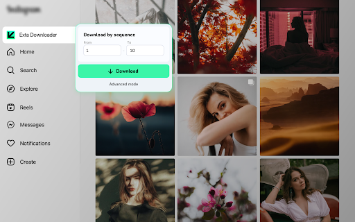 Downloader extension for Instagram