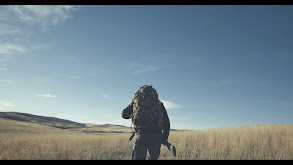 Open Country Mule Deer thumbnail