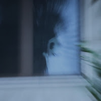 Fantasma davanti a finestra  di Cimabue