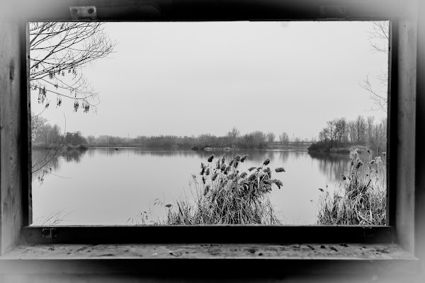 il lago visto dalla finestra di carmelomic