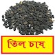 Download সঠিকভাবে তিল চাষ পদ্ধতি ~ Til Cultivation For PC Windows and Mac 1.0