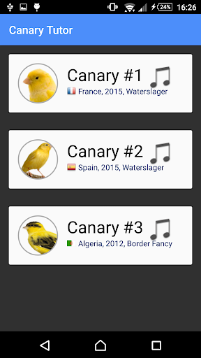 Canary Tutor