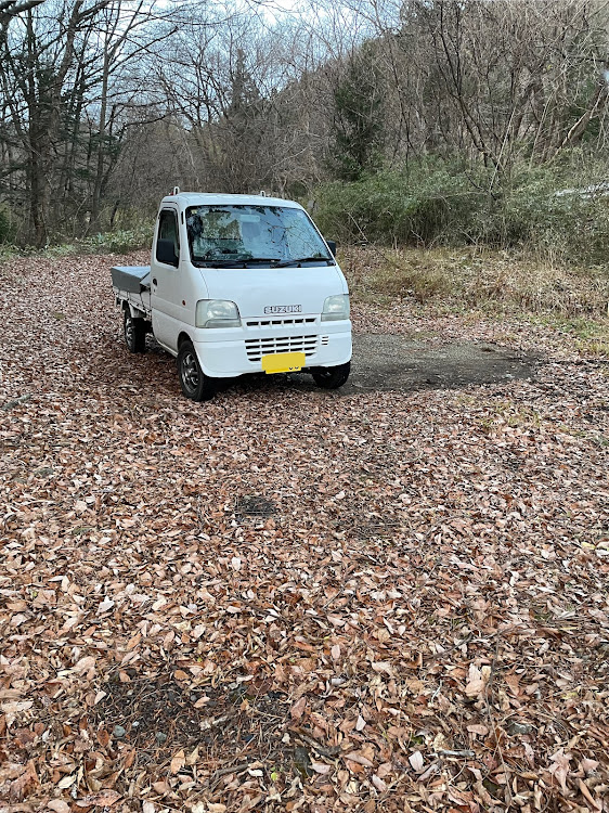 キャリイトラックの紅葉終わってたに関するカスタム事例の投稿画像5枚目
