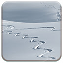 Winter Tracks Chrome extension download