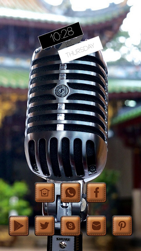 Professional Silver Microphone