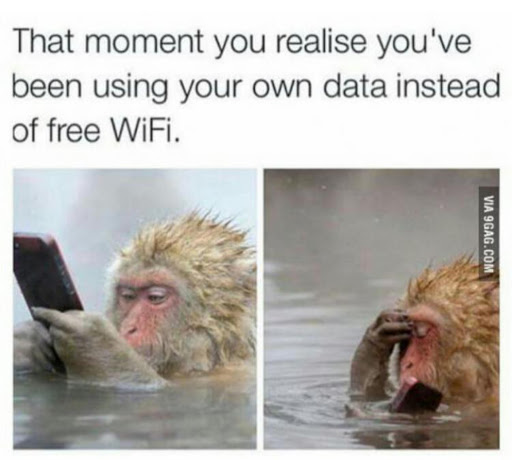 There's a Funny Monkey Meme for Every Moment in Life