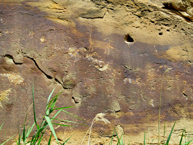 Bighorn sheep glyph hiding behind an irrigation ditch