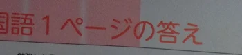 絶世のおバカ『番外編』