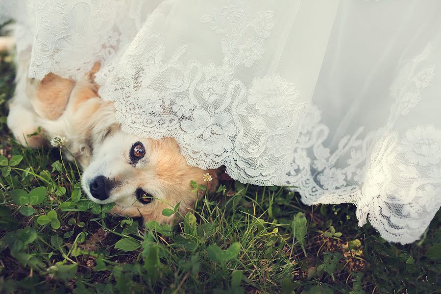 Fotógrafo de casamento Nadia Di Falco (difalco). Foto de 3 de setembro 2014