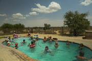 Watering hole, Nossob Rest Stop, Kalahari. November 2016.