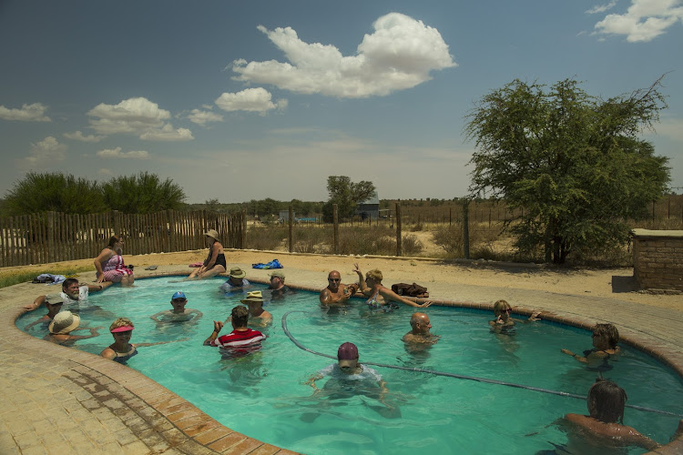 Watering hole, Nossob Rest Stop, Kalahari. November 2016.