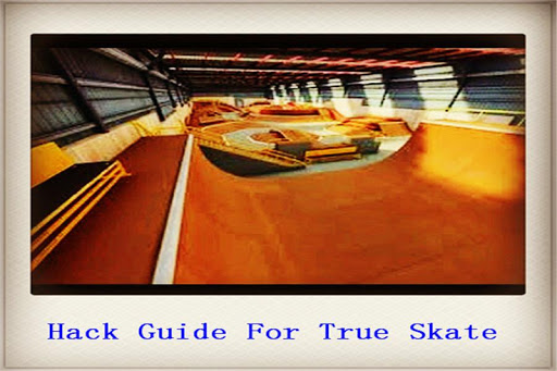 Guide for True Skate