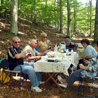 Pic-Nic nel bosco di 