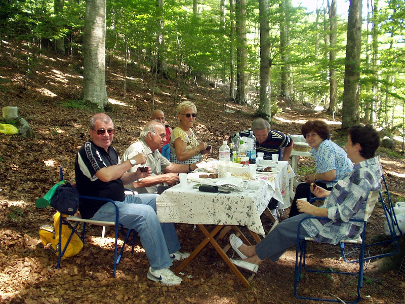 Pic-Nic nel bosco di FransuaR