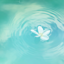 Aqua Manifest Serenity