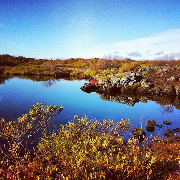 A pond in rural Iceland.