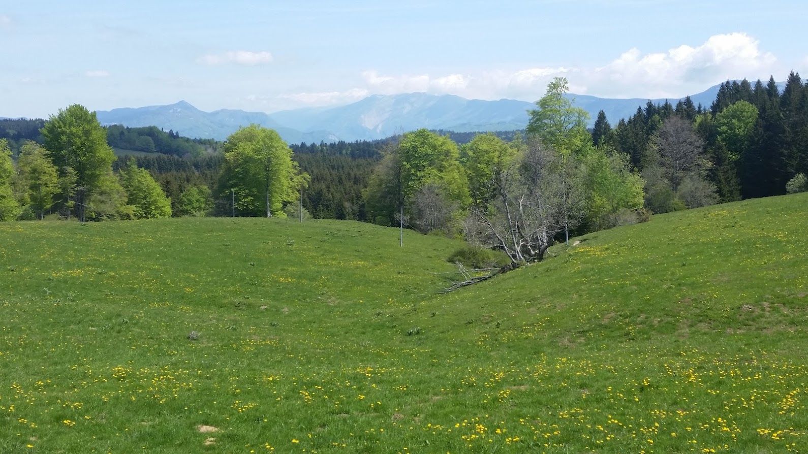 Plateau du Retord et vue des Alpes en bécane.. AstjL9XgvdmuJWZacyzsmNO5bS6Jpa3u7kn_R_jGGpB7Hbj8gzY4HMzZIs3jPVdLCOTzT3DKBBqOTem_2RBGwO7TMwJA0xohcHBYGQYT9Hdahd1eYYX0Itychy7bQwvQ3eEASNeI4ltzrhn8qAkw4OxIzMRJNRhCAre2ml3tS6zpe9f66_y2hvksRN7zT6SNfUiTJjL42k9s1eQV4ax63_bmrTUDiDTzk6gvfS9cjlAk6X8ujbo3OmIMy3Pl0xZOSQrNuLpUNbMzGFD72FjpFyLc0e2rEKoY3VJxJbPjNu0X-RTRUVb1p1JAmOLxPMKgM8JV_hOsQN8T8zpi5xEMiTsUTrnOjdpiXUpovdbIG5-6t7Vhwh4uwdD86JxAHQN9Txiy-xquveWRaS4LLlv8mnt0gjYezRdormtSq7_Y7sM9geAsw_J4-1waaQrz4bKA7eadObu7IXJRm8SlIjo1DTuAEpU3Lan7JJ9CvNjA_Ho7OfJlQgbNwurKDmIgsz7xKDuVXGC2OkKKVbS9gvwIhC7-RRBV57KtIVf1TyazsrsC2v7nZoD-HiPYBuIPz_b2fbib9mj_MGNziISz62F10um_q_NL9EjvHJcwylwHjssLv024fEvROZmQt4AAkWiP93VnN5kncPWZ4-Gz0bPYncRbgZbHLSiqDi7KZR0M8eE=w1590-h894-no