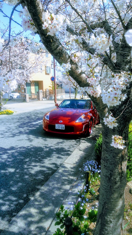 フェアレディZ ロードスターのZfollows・TEAM Ama⭐️Do・カモイレーシング・チーム🍑桃太郎・桜と愛車に関するカスタム事例の投稿画像1枚目