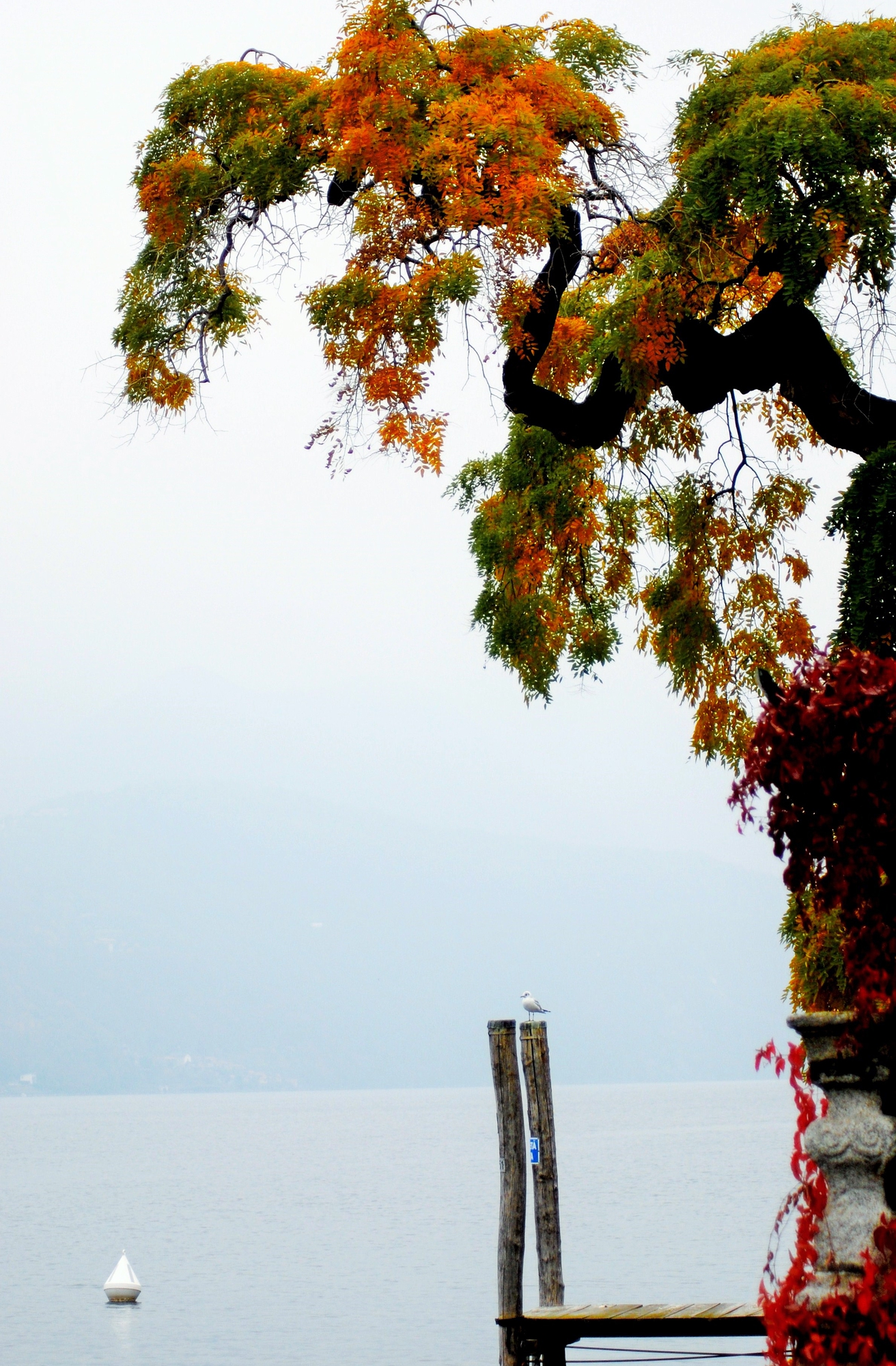 sul lago di AGATA