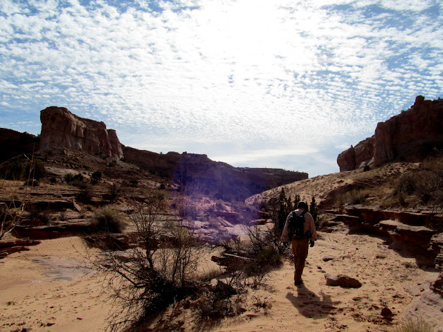 Hiking up Horseshoe Canyon