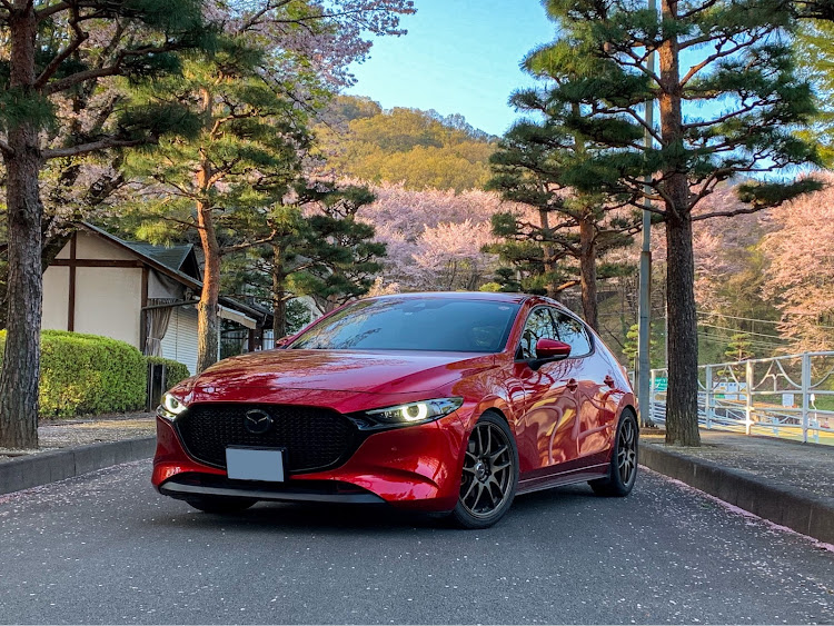 MAZDA3の桜とコラボ・サクラと愛車・桜・ドライブ・4月もよろしくお願い致します🌸に関するカスタム事例の投稿画像1枚目