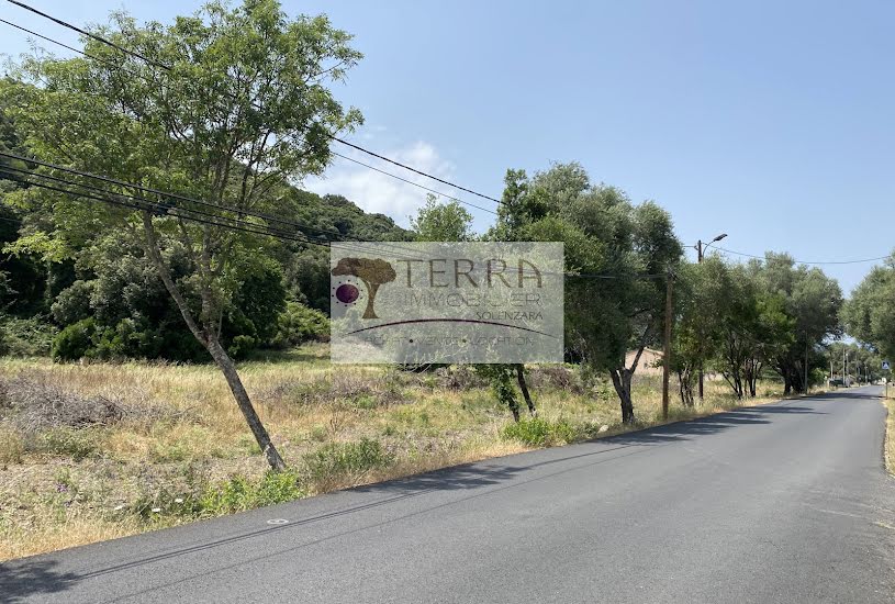  Vente Terrain à bâtir - 1 350m² à Isolaccio-di-Fiumorbo (20243) 