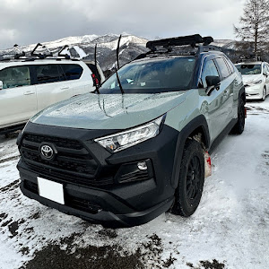 RAV4 MXAA54