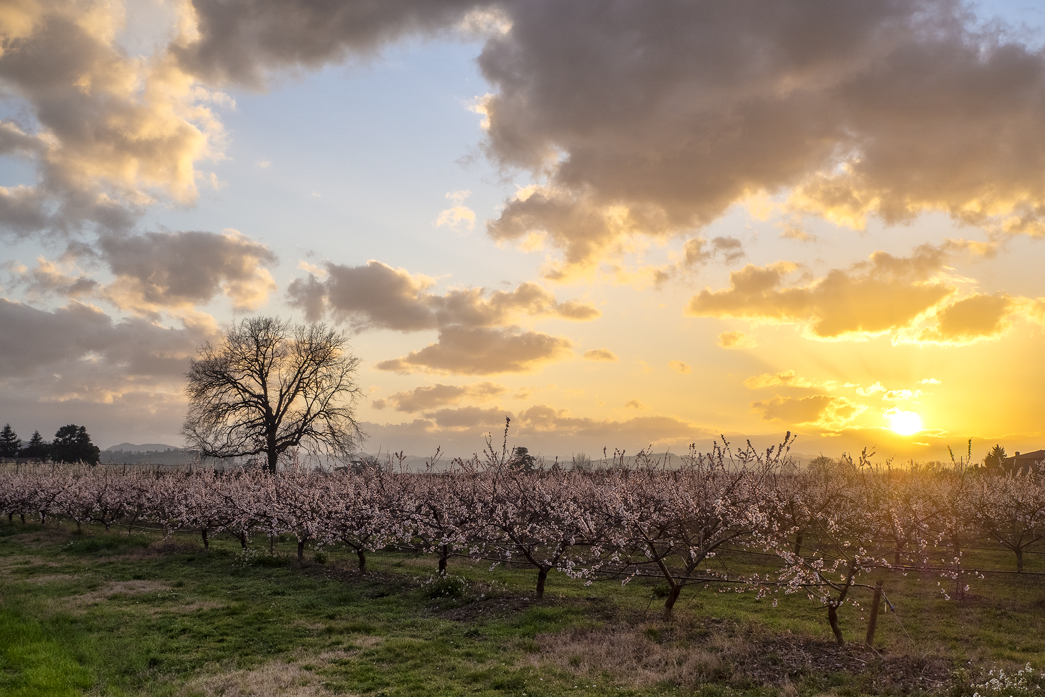 Tramonto primaverile di alagnol