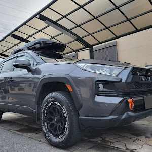 RAV4 MXAA54