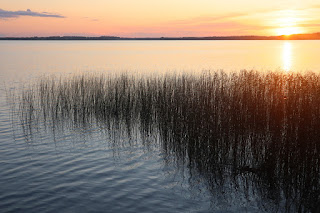 loojang Saadjärve ääres