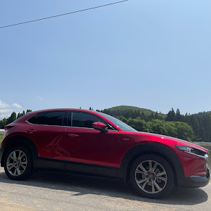 CX-30 DMEP