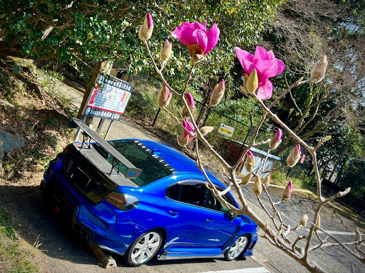 WRX S4の宮ヶ瀬・鳥居原園地駐車場・薬師林道・日向薬師・ジャパン峠プロジェクトに関するカスタム事例の投稿画像26枚目