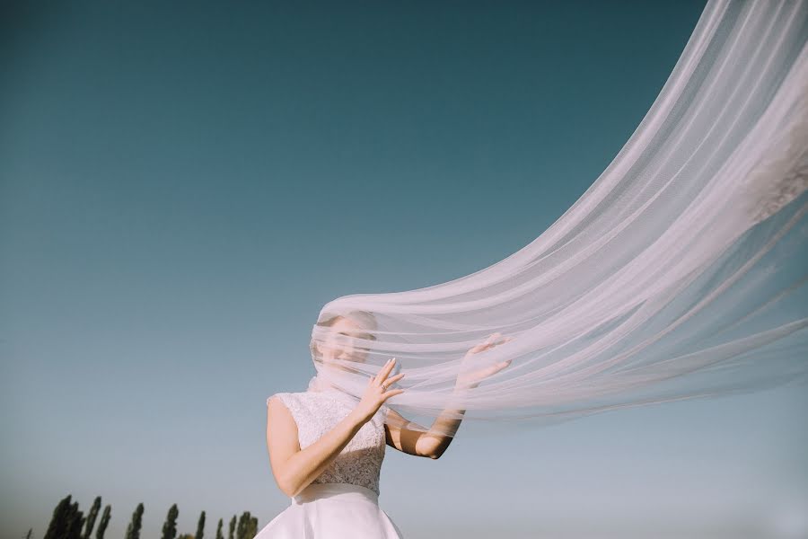 Fotógrafo de casamento Andre Devis (davis). Foto de 26 de novembro 2017