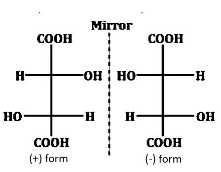 Solution Image