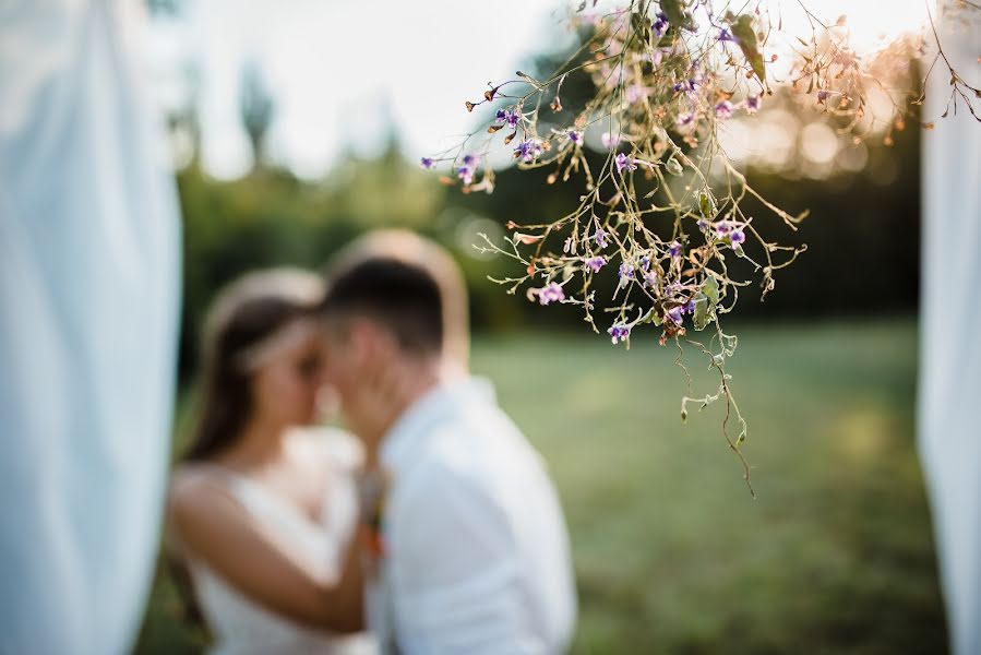 Esküvői fotós Aleksandr Klimenko (stavklem). Készítés ideje: 2017 augusztus 7.