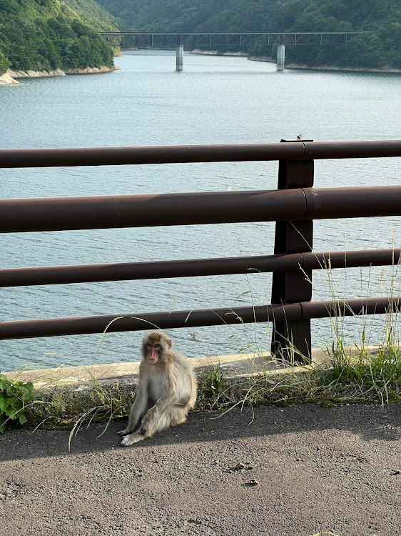 ハイエースの７月もよろしくお願いいたします・ドライブ・県境越え・ダム・福島県に関するカスタム事例の投稿画像3枚目