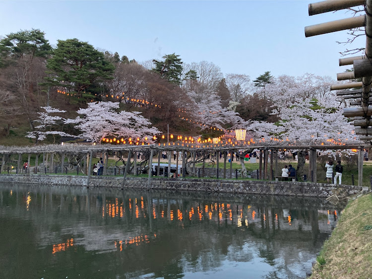 フィット RSの洗車・夜桜・腐れ部長、ざまぁみろ🤩・引っ越し準備中・温泉♨️入りたいに関するカスタム事例の投稿画像6枚目