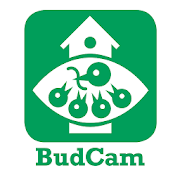 BudCam mobile  Icon