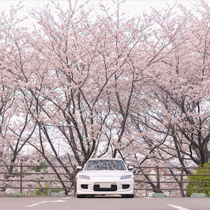 RX-8 SE3P